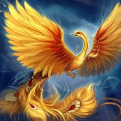 Phoenix Adventure