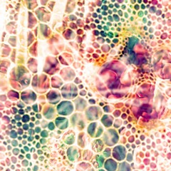 Starpilot - Dreamwalking