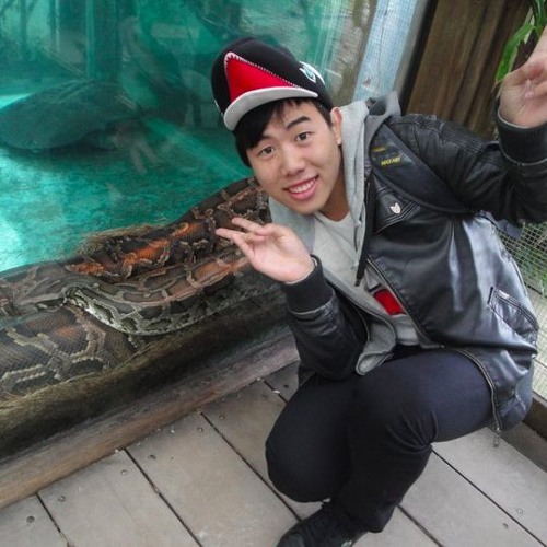 Study mix - no lyrics, instrumental