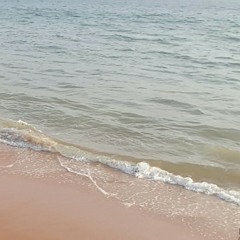 My heart will go on-Agustin amigo