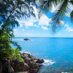 Resort4(Royalty Free Music)