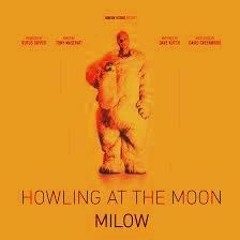 Milow - Howling At The Moon (Marcus Stabel Hinundweg Edit)