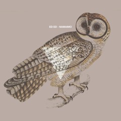 ED ED -  Namaimo | Namaimo EP | 27.5 on Moodmusic