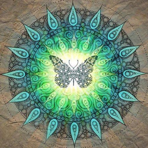 Psy Prog/Psychedelic