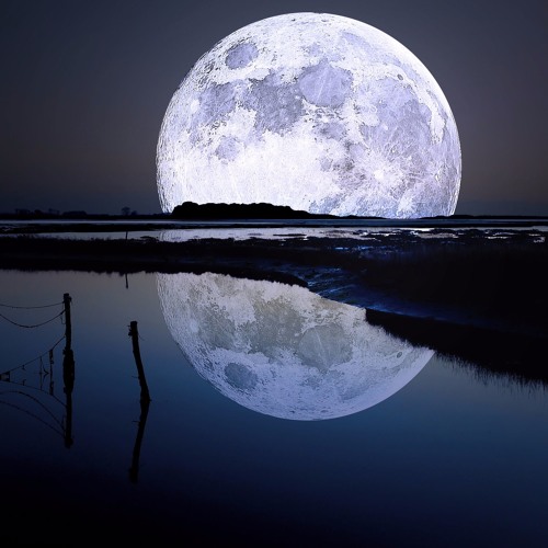 Moon Lagoon | unreleased 07/2014