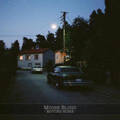 Moose Blood - Evening Coffee