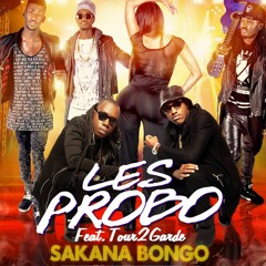 Les Probo - Sakana Bongo Feat Tour de Garde