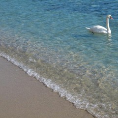 Miniature mix 14.04.16