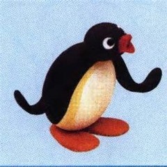 NOOT NOOT