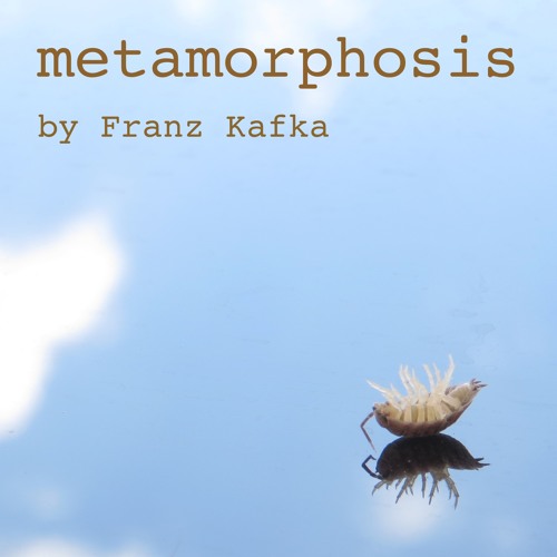 Аудиокнига метаморфозы. Metamorphosis обложка. Metamorphosis Interworld обложка. Franz Kafka Metamorphosis Cover. Metamorphosis песня обложка.