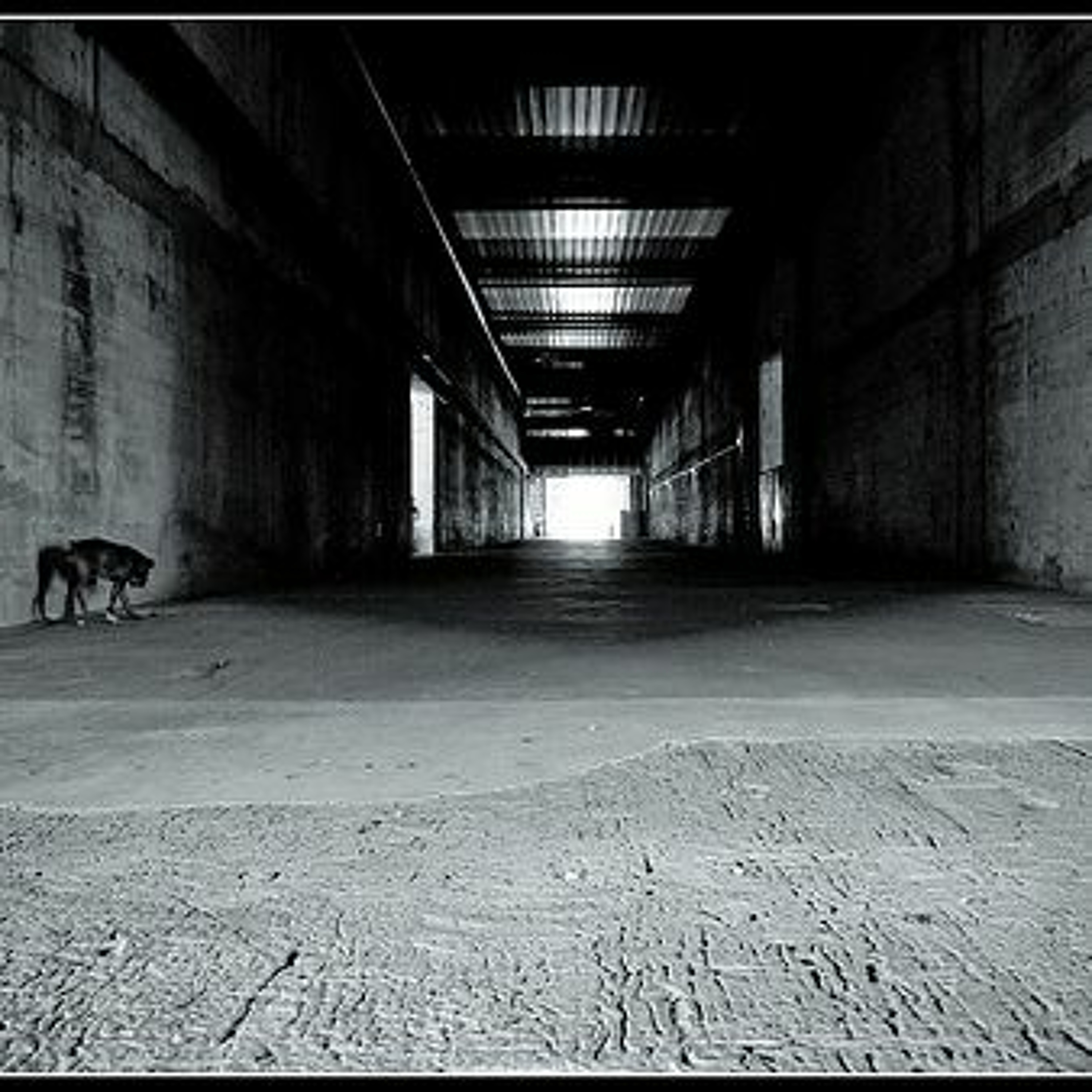 IND_Inner Transition episode artwork