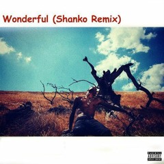 Travis $cott ft. The Weeknd - Wonderful (Shanko Remix) Preview