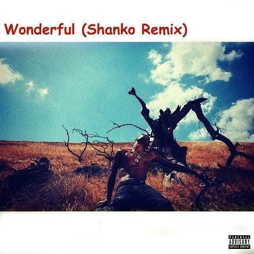 Travis $cott ft. The Weeknd - Wonderful (Shanko Remix) Preview