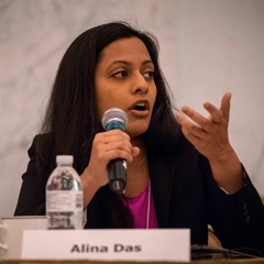 Alina Das - Plenary on 20 Years of the 1996 Laws