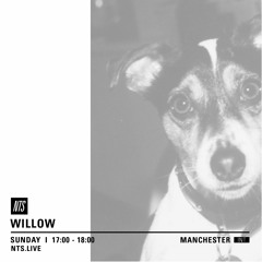 Willow - NTS Radio MCR 24.04.16