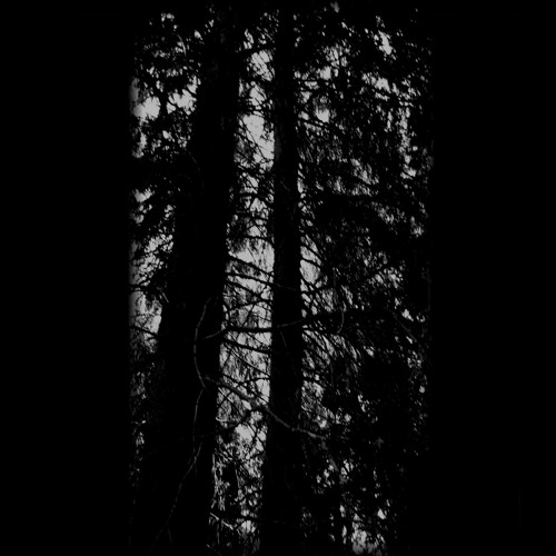 TH077_Never Lost - Echoes (Original Mix)