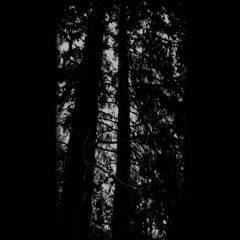 Never Lost - Argon (Original Mix)