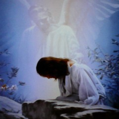 Peaceful Encouragement