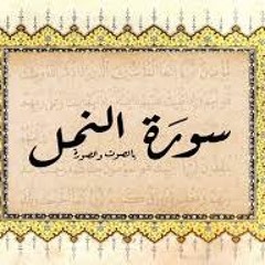 الشيخ العجمي - سورة النمل