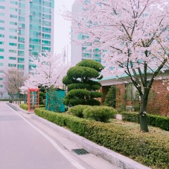 사랑에살아 피아노ver