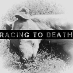Racing to Death