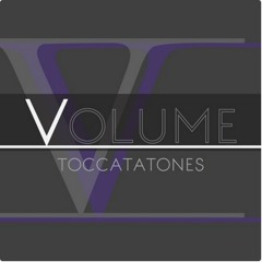 HPU Toccatatones – Can't Feel My Face