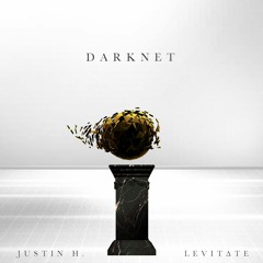 Justin Hartinger & LEViT∆TE - Entity