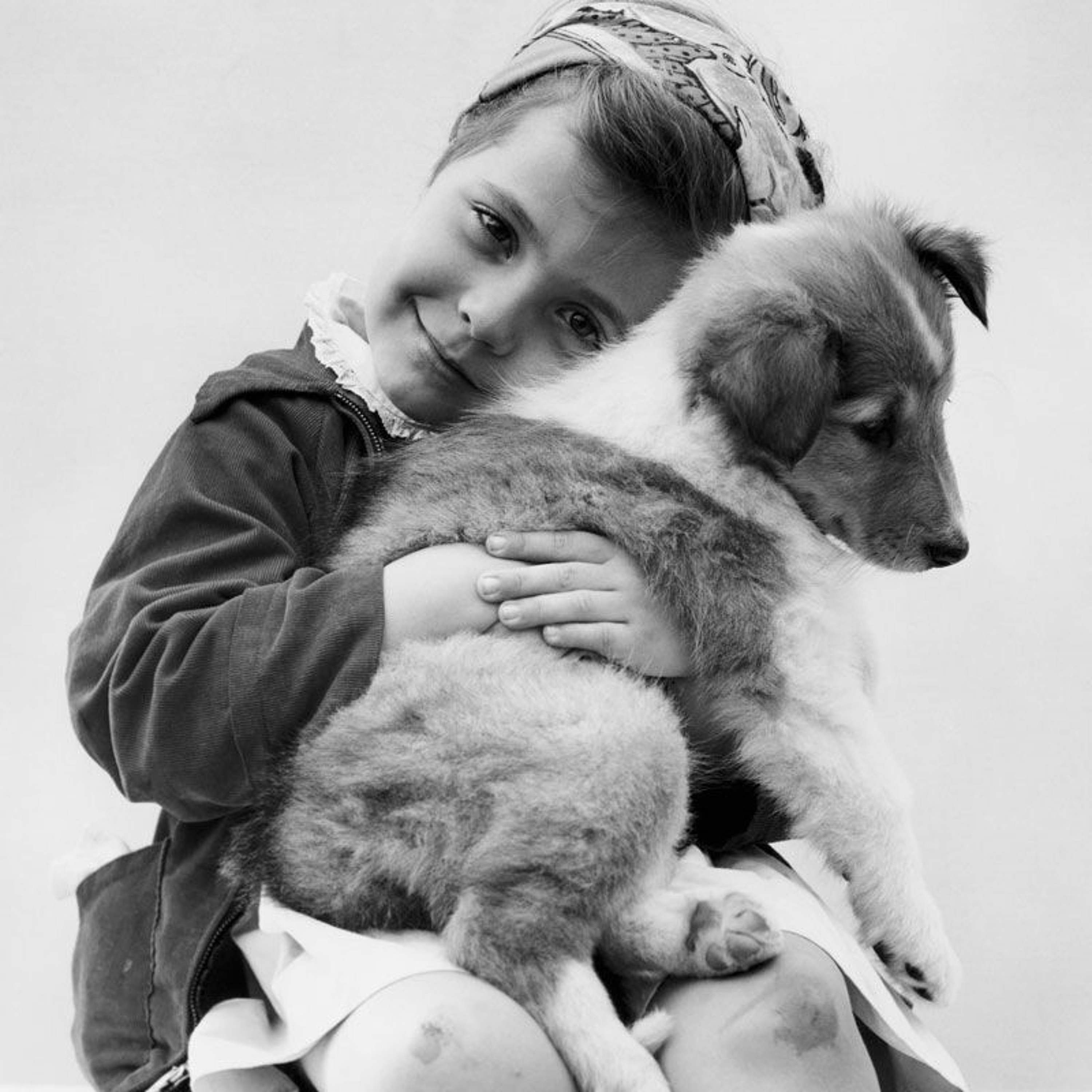 This week I learned that dogs hate hugs, and more episode artwork