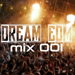 RavEch - Dream EDM Mix 001