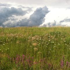 Perfect Day - Lou Reed (cover)