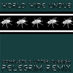 Complete & Utter Dubbish (Pelegrim Remix)