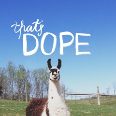 It's Llama Time