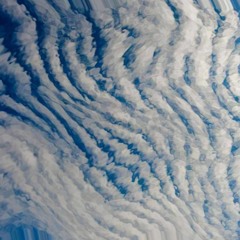 Varasurdum - Cirrocumulus  164