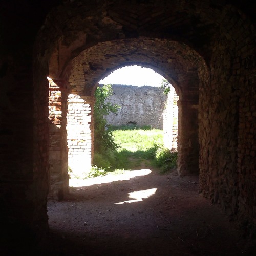 The Path Of The Free