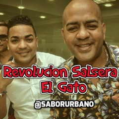 Revolucion Salsera - El Gato ( SALSA 2016 )