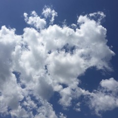 When Doves Cry - TALKBOX COVER