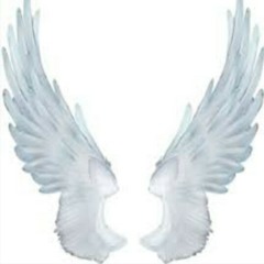 Yzp wings on back / yzp love living life mixtape