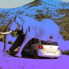 elephant juice(prod. gazpacho)