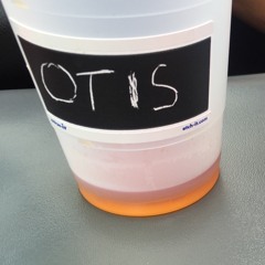 Otis Fonde - Way Way Too Long