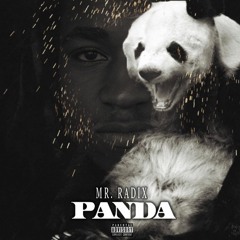 Mr. Radix - Panda Remix (Designer - Panda)