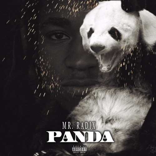 Mr. Radix - Panda Remix (Designer - Panda)