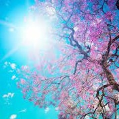 New private playlist