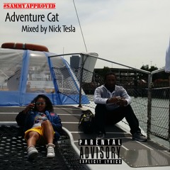Adventure Cat (mixed by Nick Tesla)