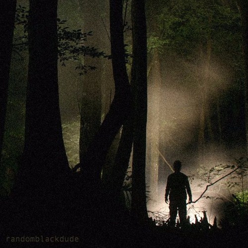 sounds from the swamp - randomblackdude
