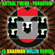on Astral Twins - Paradigm [A Snagman WIllis remix] sans vocals