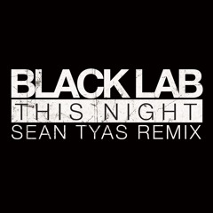 Black Lab - This Night (Sean Tyas Remix)