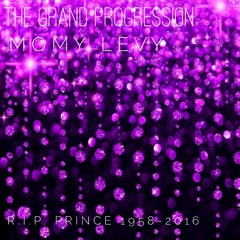Momy Levy - The Grand Progression( R.I.P. PRINCE 1958-2016)