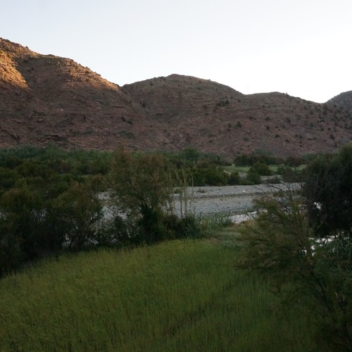 Fieldrecording: Frogs etc. recorded in the High Atlas mountains during the night, Ijoukak, Morocco