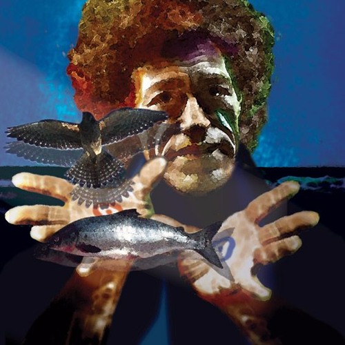 Fintan Mac Bochra And The Hawk Of Achill