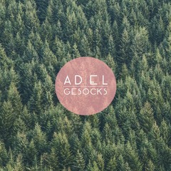 The Weeknd - Earned It (Adel & Gesocks feat. Daeho)
